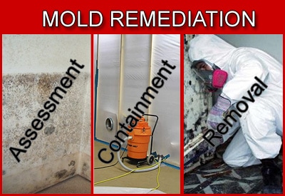 Mold Removal Raleigh NC
